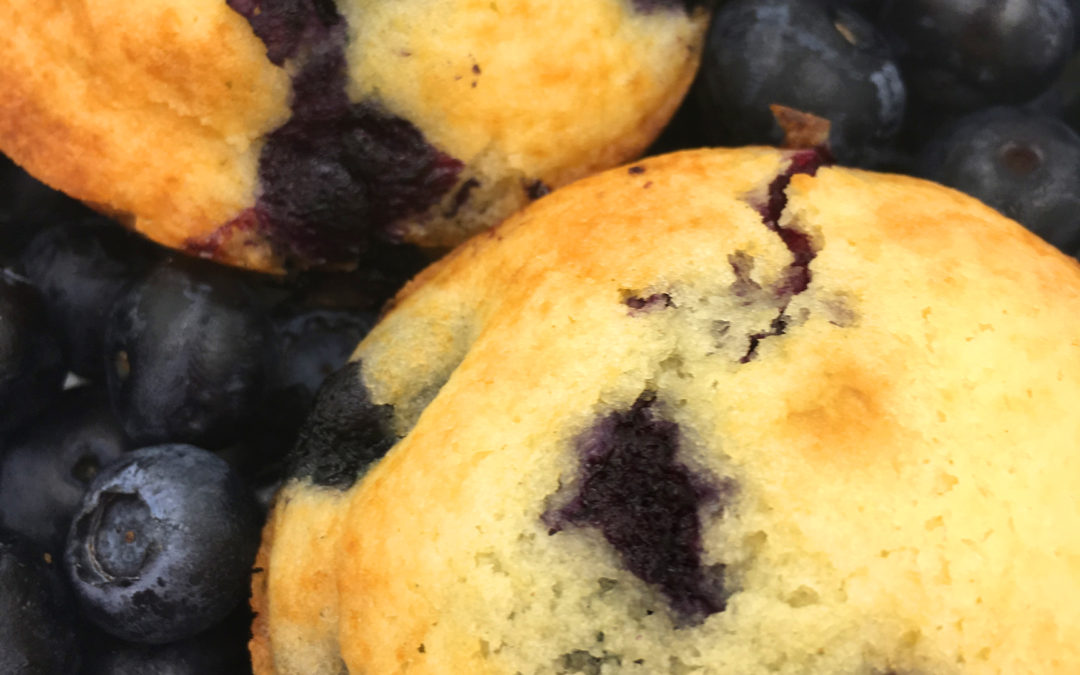 Blueberry Muffins